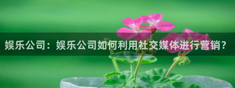 星亿娱乐电子游戏网页版