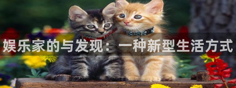壹号大舞台娱乐传媒
