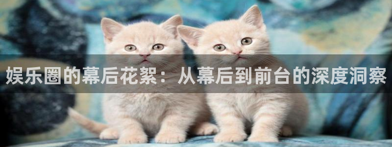 星亿娱乐(com.youad.authst)