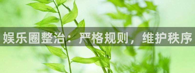 伟德国际集团 壹号(one game)