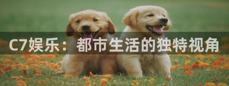 星亿娱乐.ccmpc正版