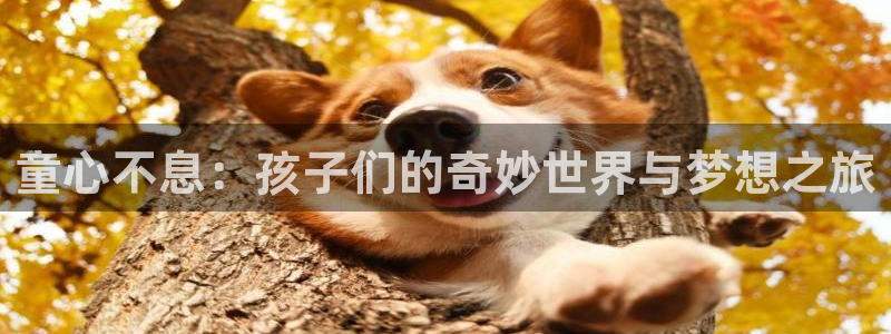 壹号app官方登录入口下载