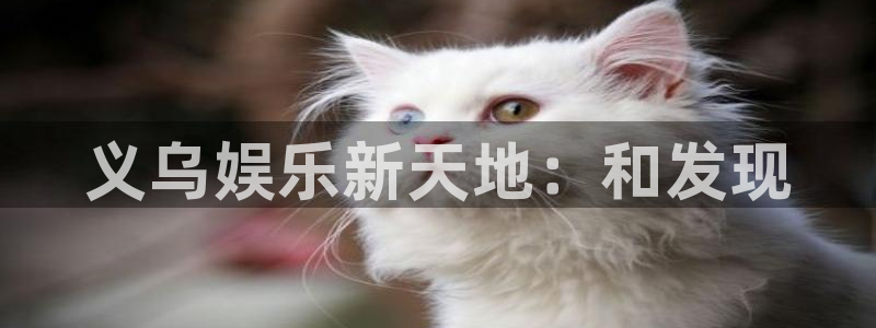 星亿娱乐官网