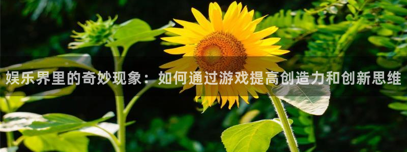 星亿娱乐app最新版