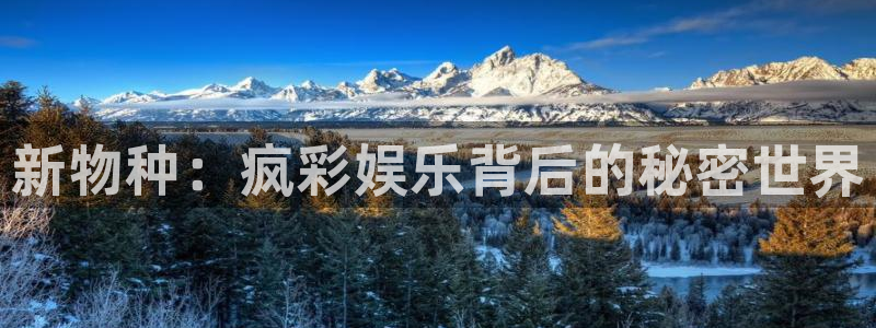 星亿娱乐路线1
