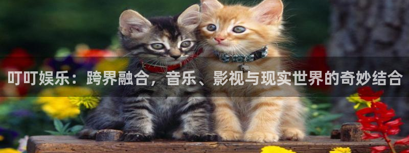 星亿娱乐平台下载入口：叮叮娱乐：跨界融合，音乐、影视与现实世界的奇妙结合