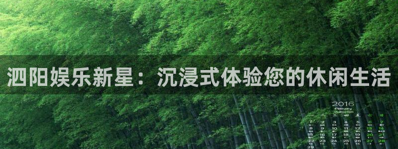 星亿娱乐.com：泗阳娱乐新星：沉浸式体验您的休闲生活