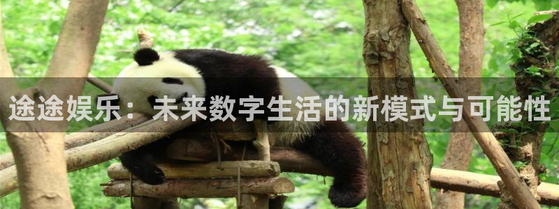 星亿娱乐苹果手机下载链接：途途娱乐：未来数字生活的新模式与可能性