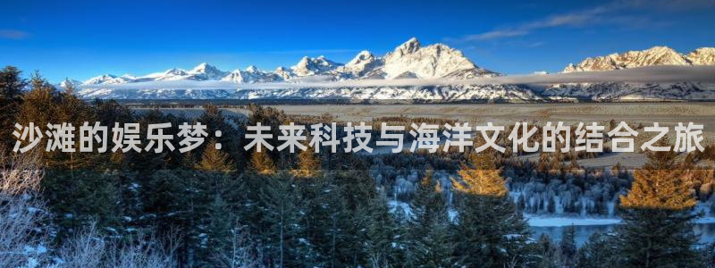 壹号大舞台怎么注册：沙滩的娱乐梦：未来科技与海洋文化的结合之旅