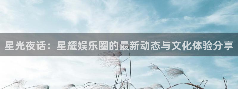 星亿娱乐充值怎么退款：星光夜话：星耀娱乐圈的最新动态与文化体验分享