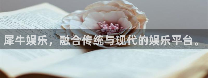 星亿娱乐软件：犀牛娱乐，融合传统与现代的娱乐平台。