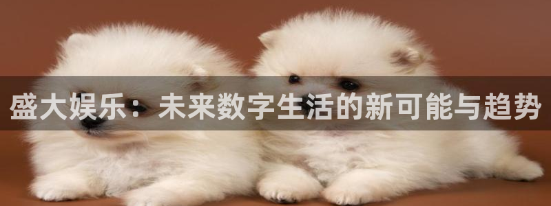 星亿娱乐app网页入口：盛大娱乐：未来数字生活的新可能与趋势