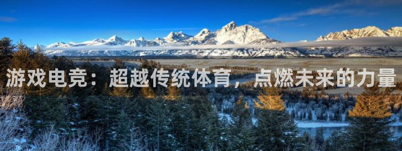 壹号下载安装：游戏电竞：超越传统体育，点燃未来的力量