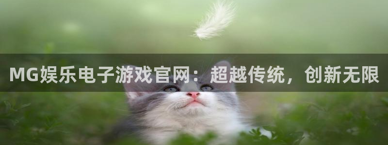 星亿娱乐app下载安装：MG娱乐电子游戏官网：超越传统，创新无限