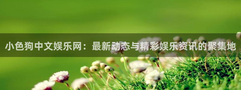 壹号app官网：小色狗中文娱乐网：最新动态与精彩娱乐资讯的聚集地